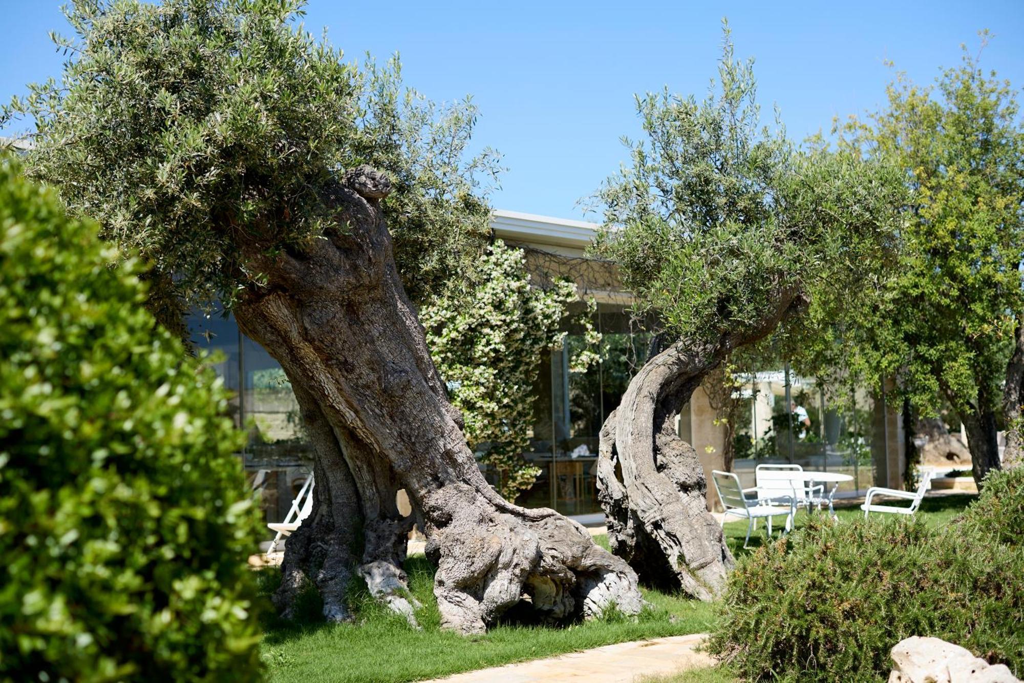 Masseria Torre Del Diamante Torre Canne Exterior photo